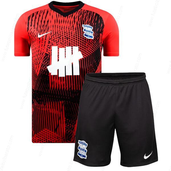 Camisa Birmingham City Away Kit de futebol infantil 23/24