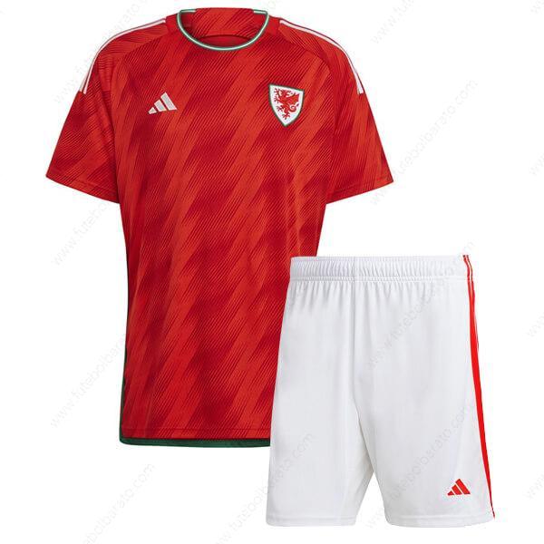 Camisa País de Gales Home Kit de futebol infantil 2022